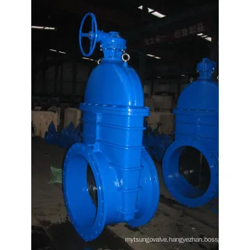 DN800 Soft Seal Gate Valve